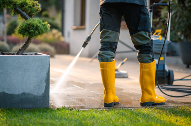 Best Pressure Washing Near Me  in Floris, VA